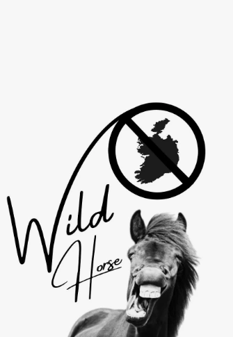 Фильм Дикая лошадь 2026