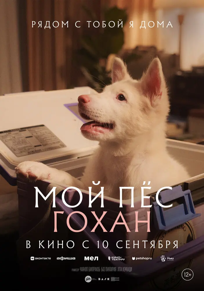 Фильм Мой пёс Гохан 2026